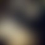 Zélie10, Une femme, 25 ans, Namur (2)